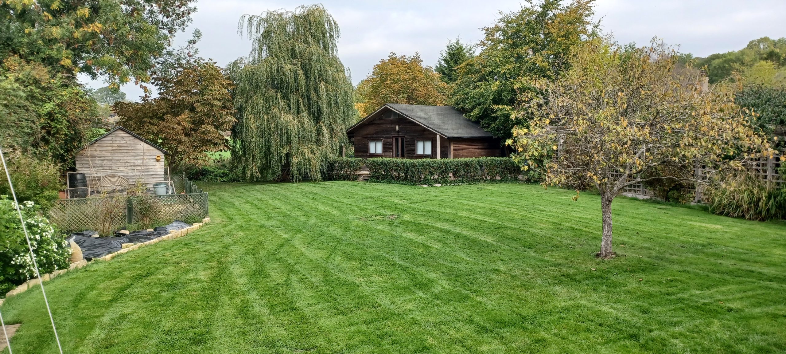 Harrowdene-Dorset-UK-garden-lawn